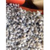 PET料批發(fā)_PET料批發(fā)_PET料批發(fā)