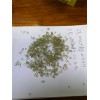 PET聚酯再生造粒生產(chǎn)線_PET聚酯再生造粒生產(chǎn)線