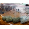 瓶片回收造粒機_瓶片回收造粒機