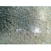 發(fā)泡母粒造粒機(jī)_蚌埠佳德智能裝備科技有限公司