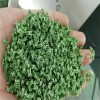 四葉草填充造粒機(jī)_TPE草坪填充造粒生產(chǎn)線_蚌埠佳德