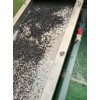 pp塑料造粒擠出機_pp塑料造粒擠出機_BBJD