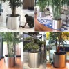 不銹鋼現(xiàn)代簡約花箱_不銹鋼現(xiàn)代簡約花箱