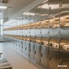 蚌埠不銹鋼商用壁柜_蚌埠不銹鋼壁柜_蚌埠新躍勝金屬制品